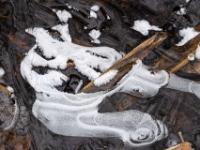 Skurrile Lufteinschluß Figur und Schilfblatt Teile in dunkler Eisfläche